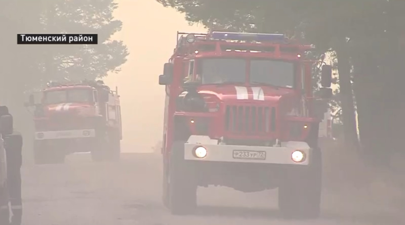 Природный пожар возник в районе автодороги Чаплык-Успенка в Тюменской области